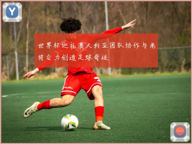 世界杯巡礼澳大利亚团队协作与老将合力创造足球奇迹