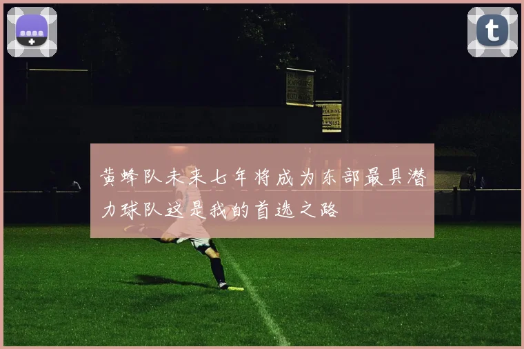 黄蜂队未来七年将成为东部最具潜力球队这是我的首选之路